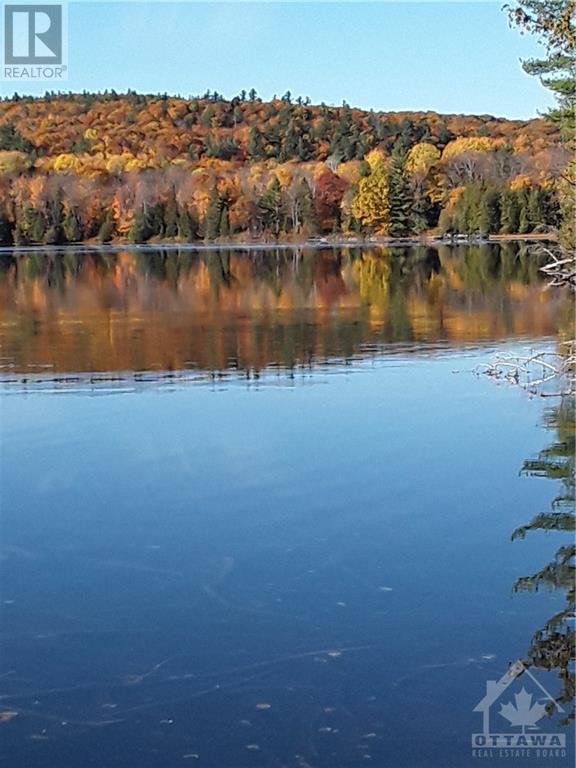 00 Mile Lake Private, Greater Madawaska, Ontario  K0J 1H0 - Photo 3 - 1400167