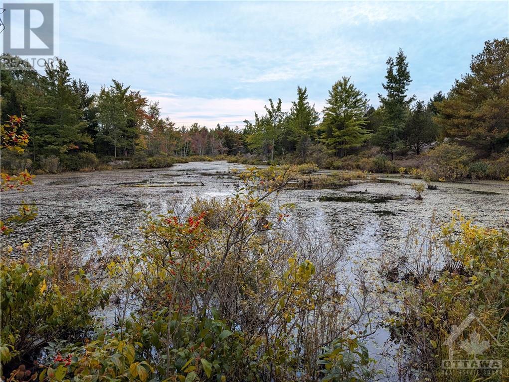 MOUNTAIN ROAD, westport, Ontario