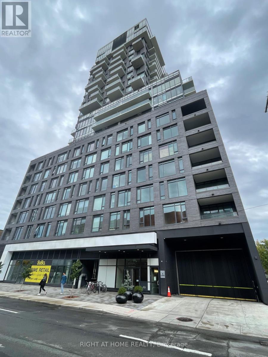 705 - 203 CATHERINE STREET, Ottawa, Ontario
