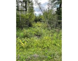 00 A1 CONCESSION ROAD 4 ROAD, Alfred and Plantagenet, Ontario