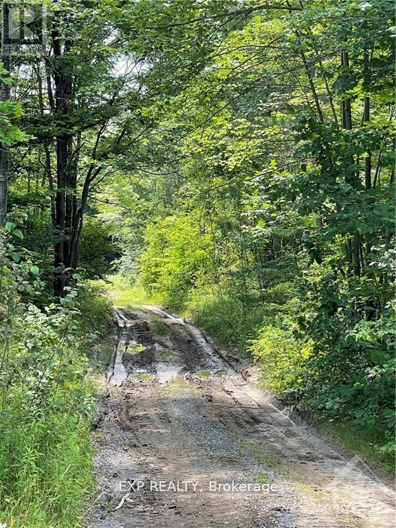 00 B CONCESSION ROAD 4 ROAD, Alfred and Plantagenet, Ontario