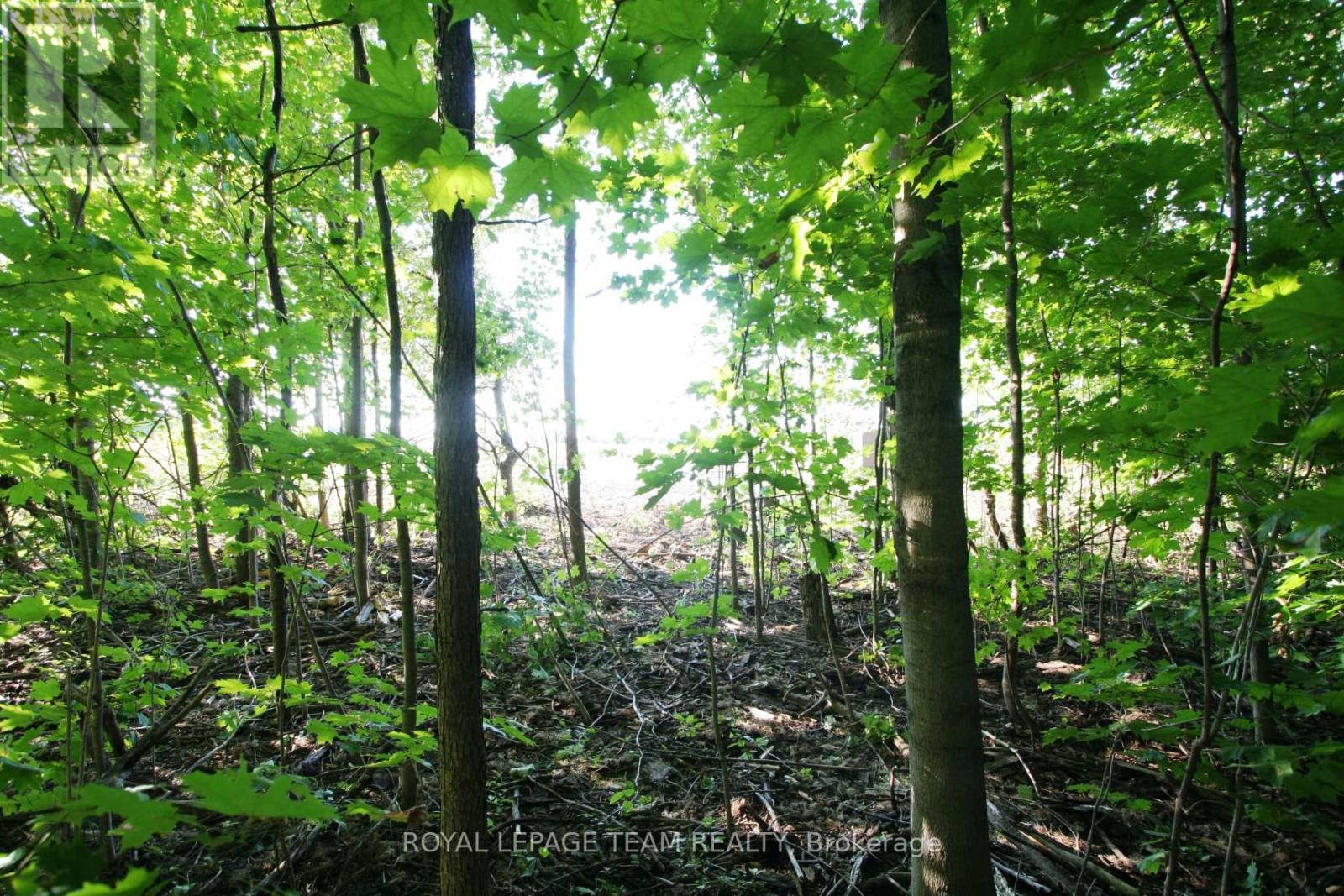 PTLT31 PLEASANT VALLEY ROAD, South Dundas, Ontario