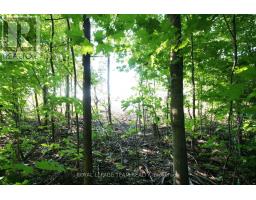 PTLT31 PLEASANT VALLEY ROAD, South Dundas, Ontario