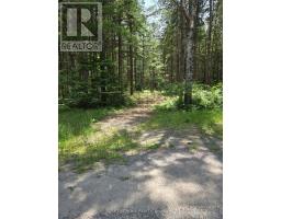 66 GINZA STREET, Greater Madawaska, Ontario